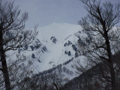 DSCF0516