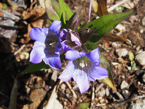 P9240058(1)