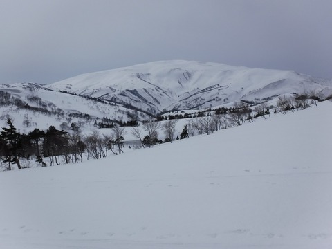 DSCF0954