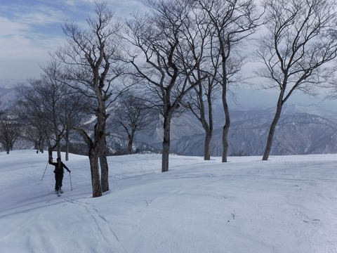 DSCF0540