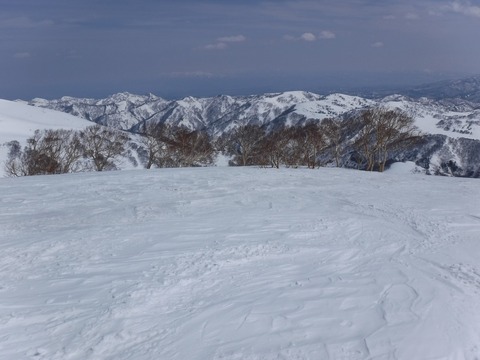 DSCF0927
