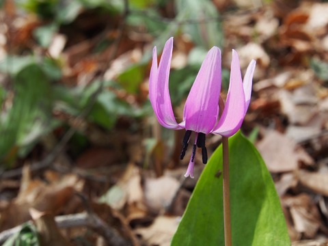 20180329_03