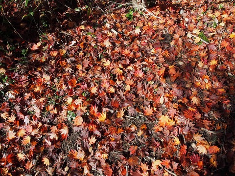 20181021_09