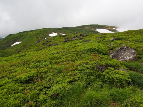 20190623_69