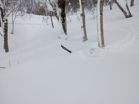 S0642153