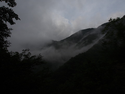 P8290167(1)