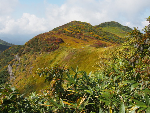 P9240064(1)