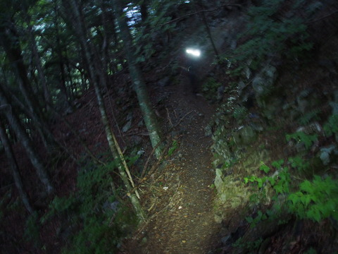 P8290165(1)