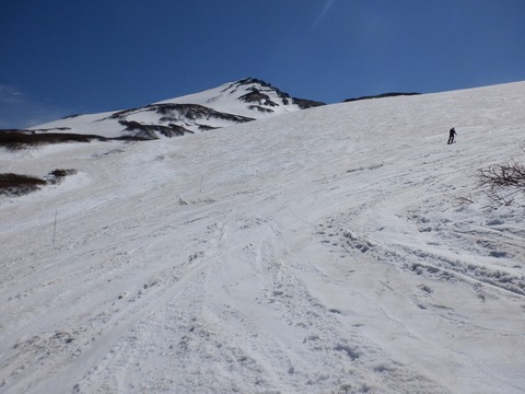S0235298