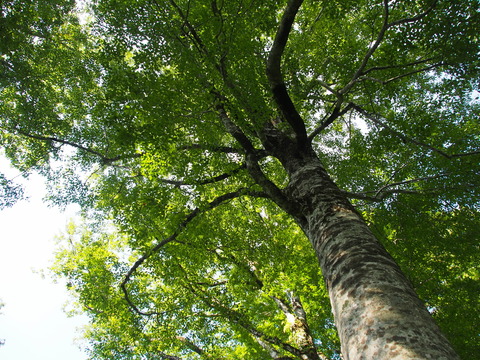 P9240011(1)