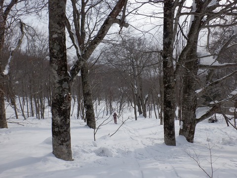 S0332690