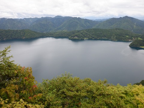 DSCF4334