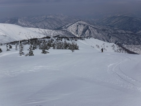 DSCF0569