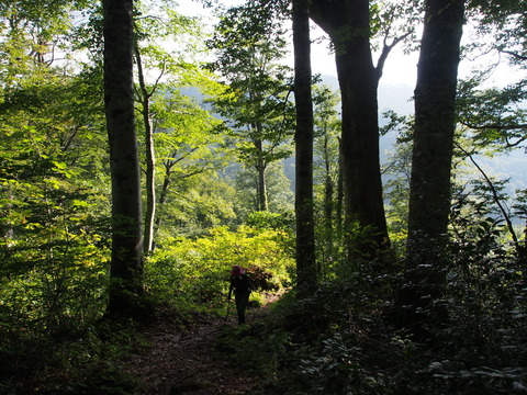 P9240006(1)