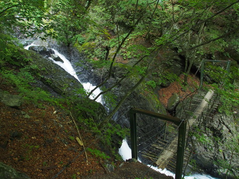P8290173(1)