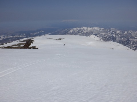 S0388206