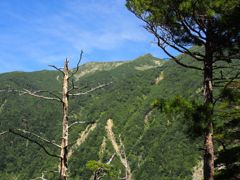 P8270021(1)