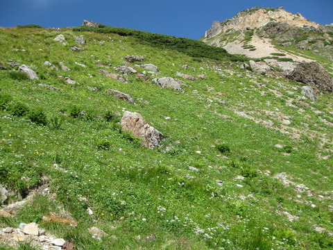 IMG_2699(1)