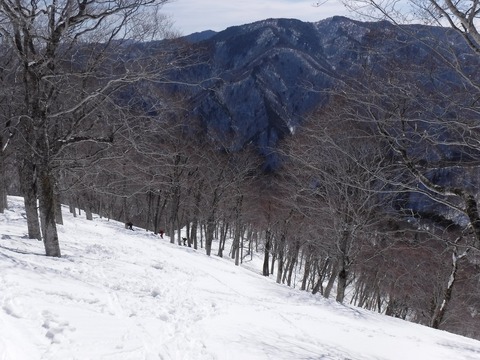 DSCF0637