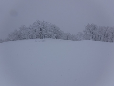 DSCF0341