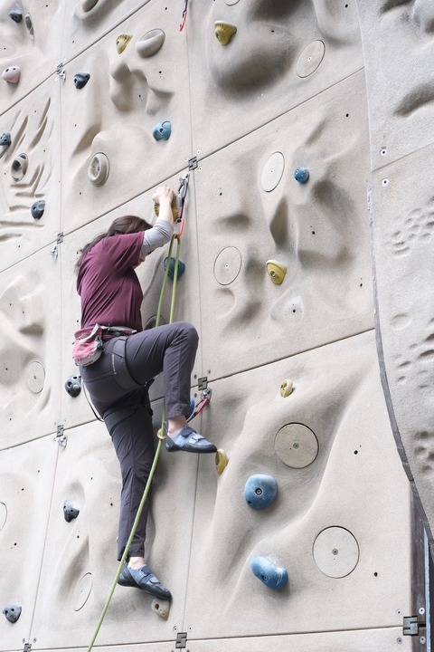 LINE_ALBUM_クライミング講習会2024.11.17_241118_7