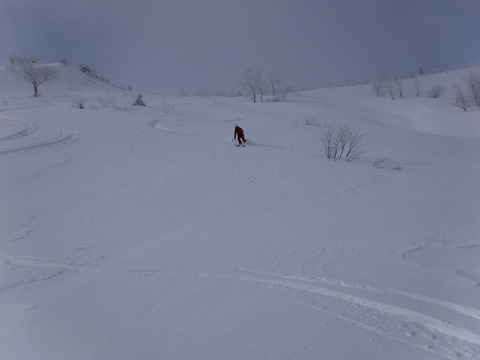 DSCF1810