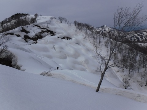 DSCF0959