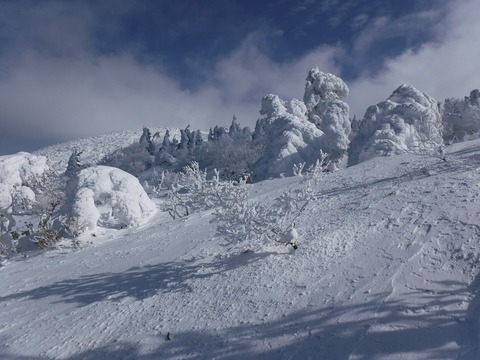 DSCF0220