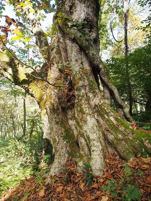 20181014_22