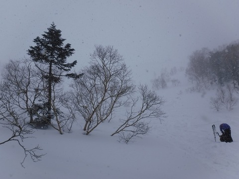 DSCF0733