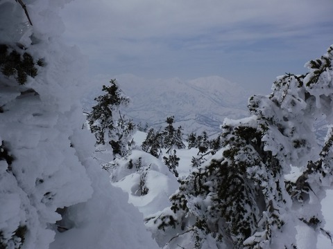 DSCF0559