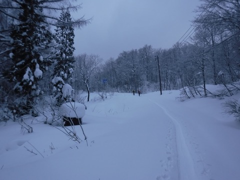 DSCF1662