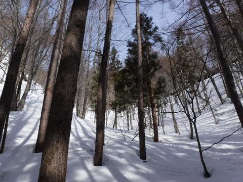 DSCF0625