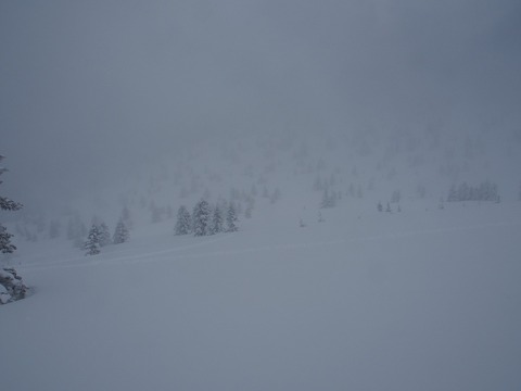 20180219_50