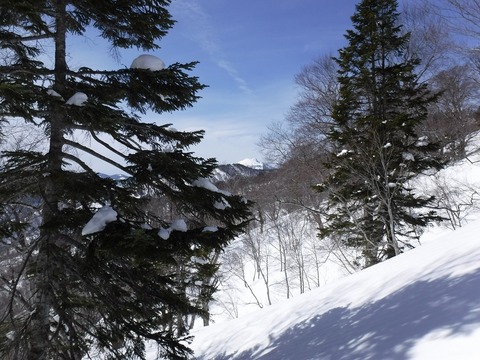 DSCF0645