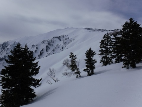 DSCF0543