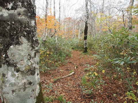 20181015_97