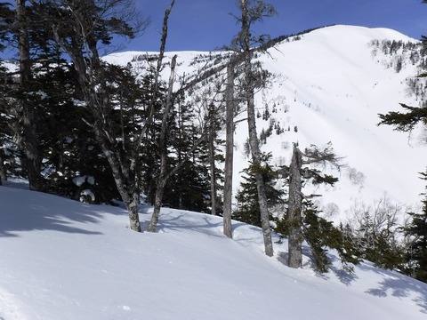 DSCF0649