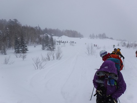 DSCF0730