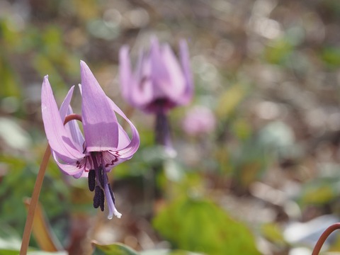 P3290085