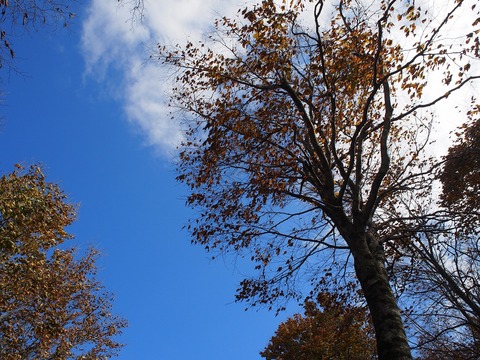 20201025_31