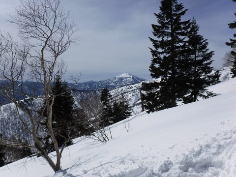 DSCF0651