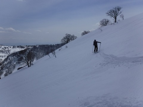 DSCF0931