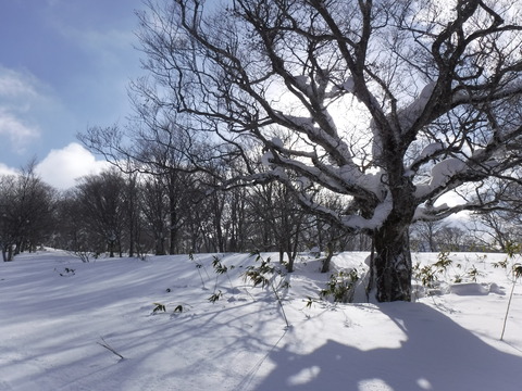 DSCF0206