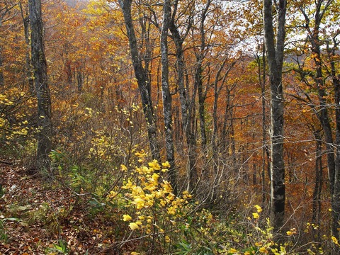 20201025_52