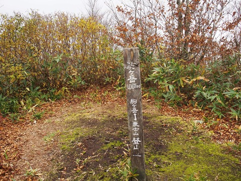 20201025_53