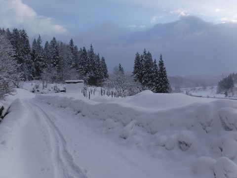 DSCF1722