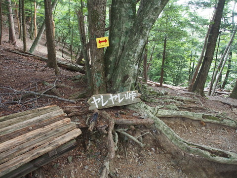 P8290191(1)