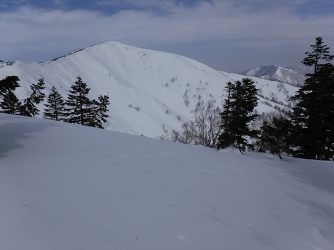 DSCF0546