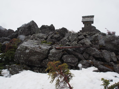 P5060011(1)
